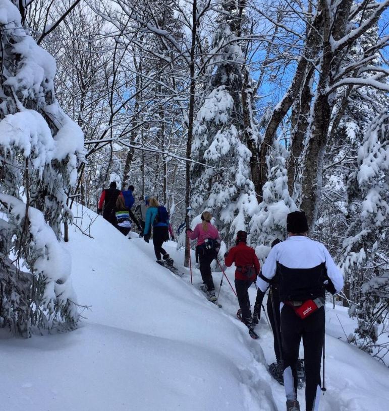 Chalets Alpins - 52 Chemin Des Skieurs ستونهارم المظهر الخارجي الصورة