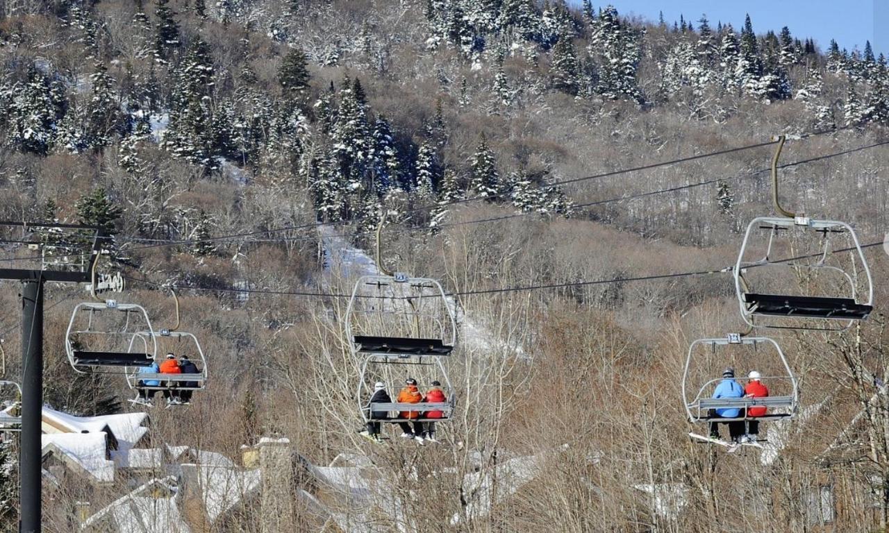 Chalets Alpins - 52 Chemin Des Skieurs ستونهارم المظهر الخارجي الصورة